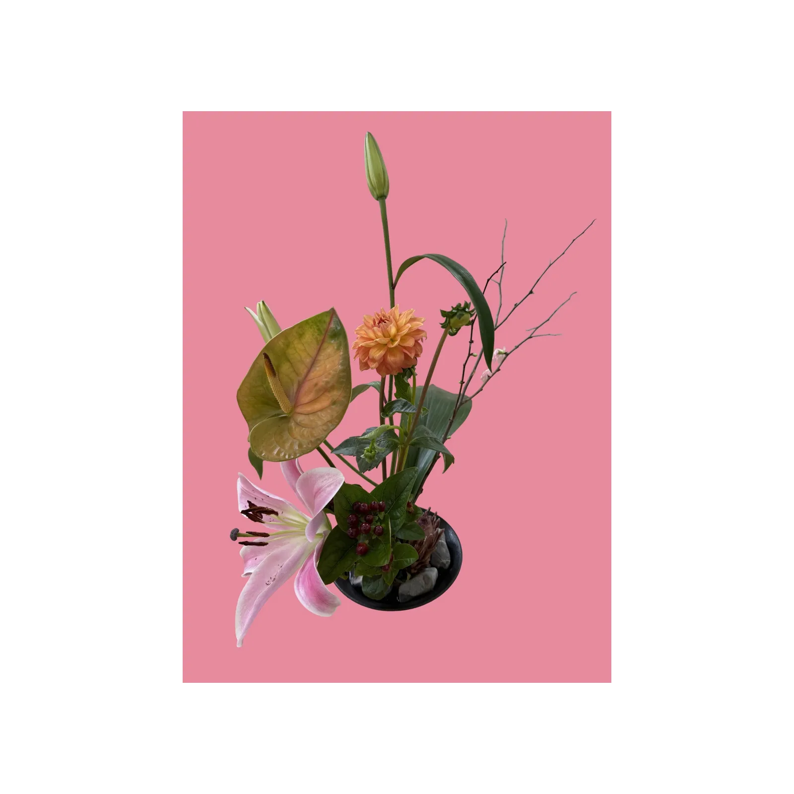 Ikebana arrangement with a pink lily, orange dahlia, anthurium and berries in a dark bowl