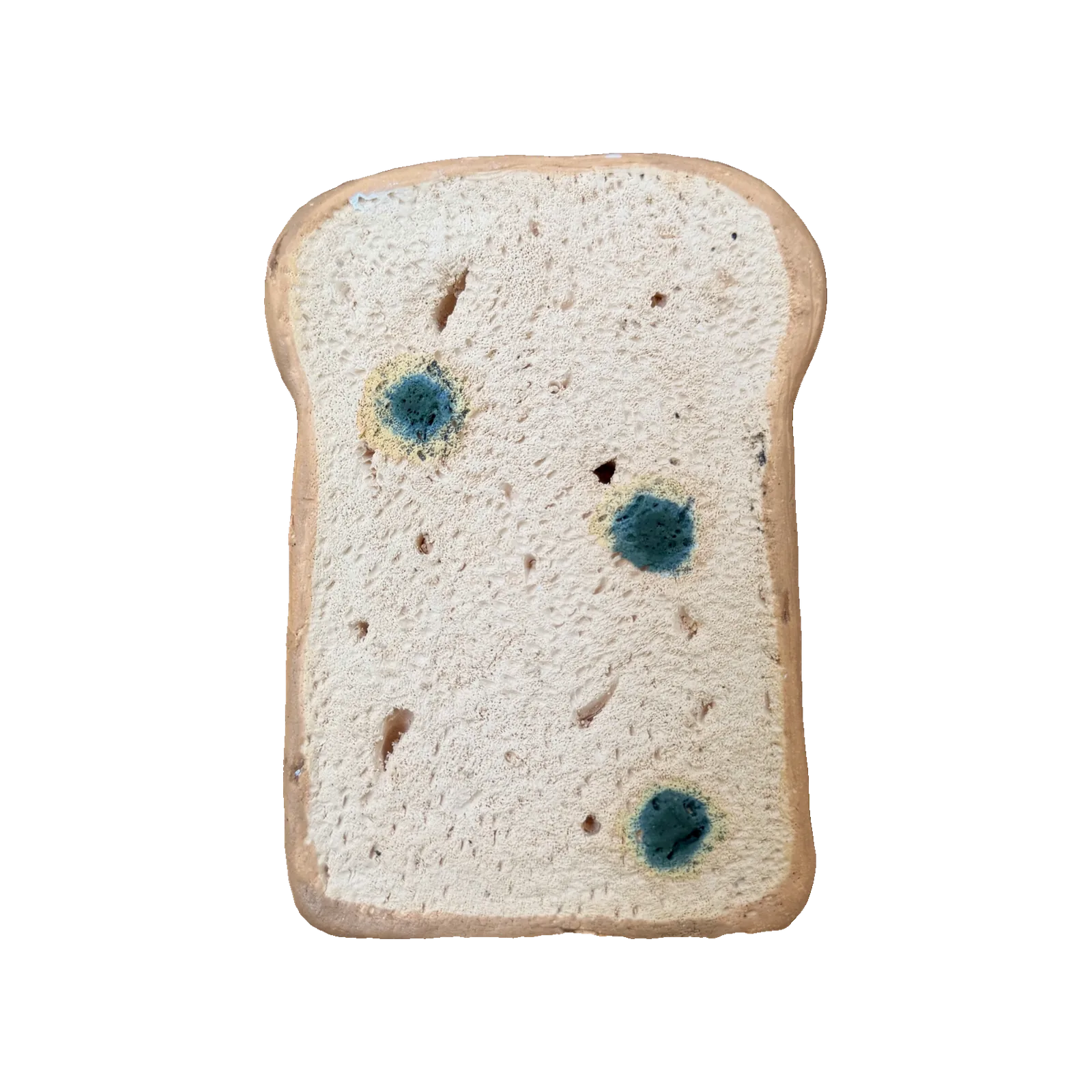 Ceramic slice of bread with spots of mould on a dark ground