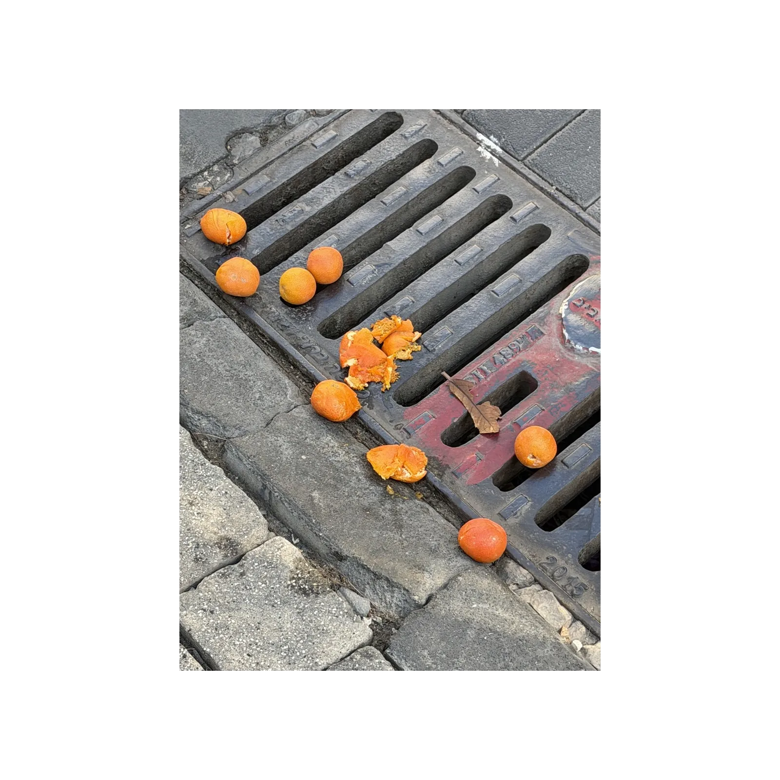 Photograph of oranges resting on a street drain grate