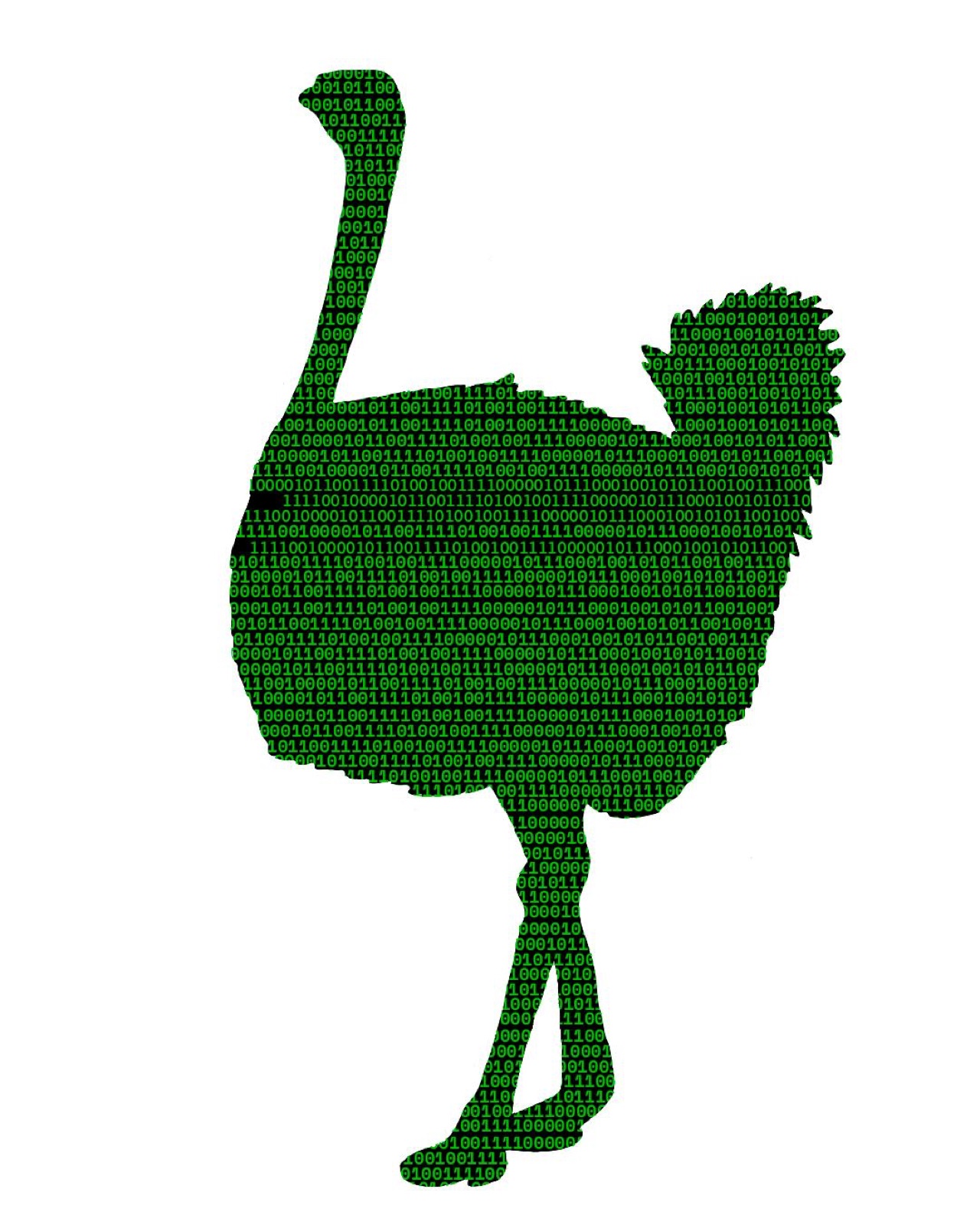 Illustration of an ostrich silhouette filled with green binary code