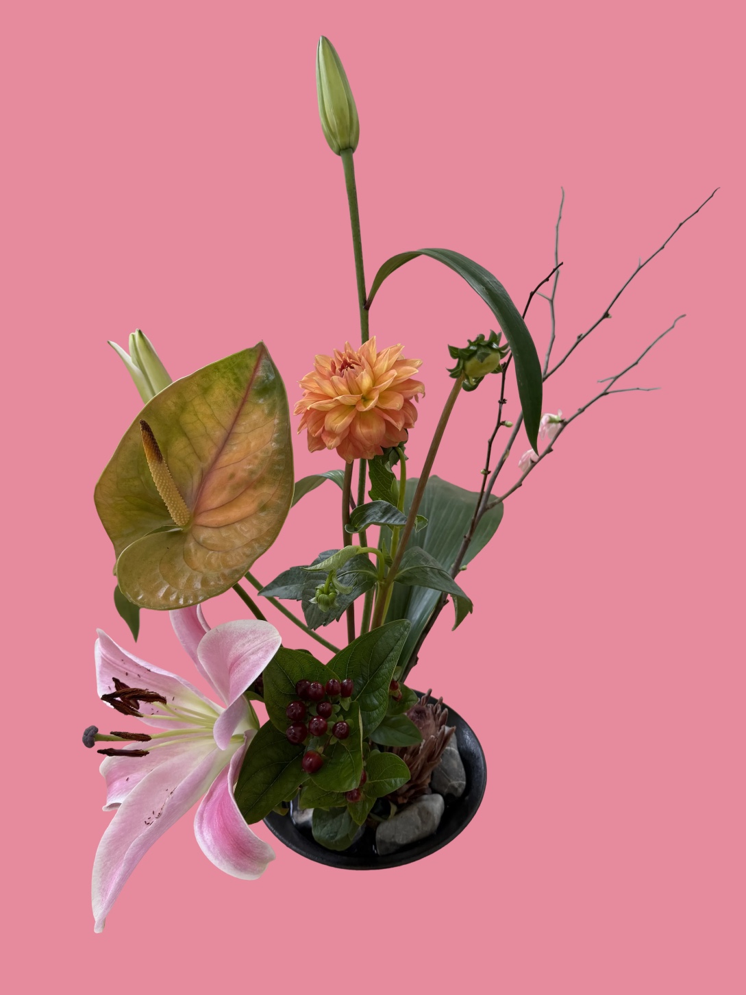 Ikebana arrangement with a pink lily, orange dahlia, anthurium and berries in a dark bowl