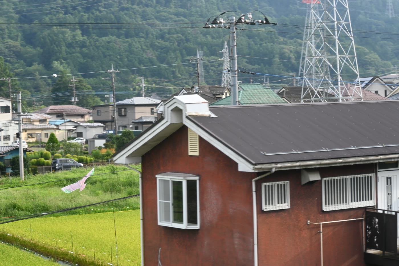 A hawk-shaped kite flying over rice fields beside a red house