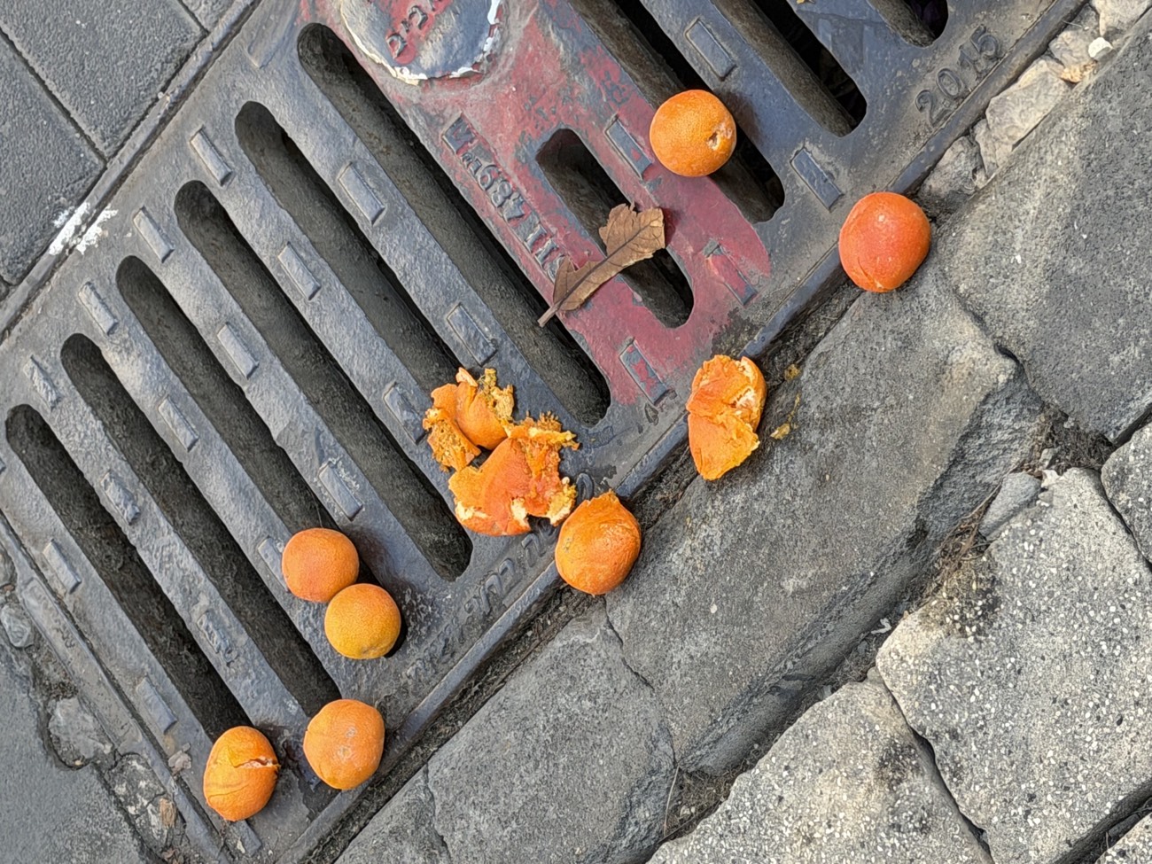 Photograph of oranges resting on a street drain grate